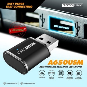 Totolink A650USM - USB Wifi mini băng tần kép AC650