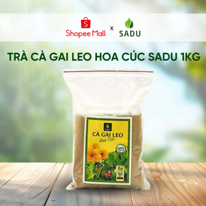 Trà cà gai leo hoa cúc hộp 30 túi - tăng cường chức năng gan