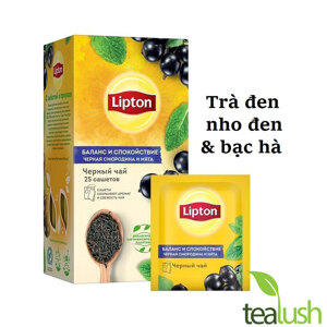 Trà lipton peppermint (hộp 1.5g x 25 gói)