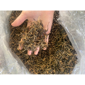 Trà Shan Tuyết cổ thụ Tà Xùa Lộc Tân Cương gói 200gr