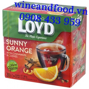 Trà túi lọc Loyd Sunny Orange hộp 40gr