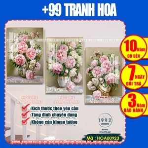 Tranh gắn đá H29