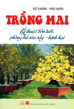 Trồng mai Kỹ thuật bón tưới, phòng trừ sâu rầy