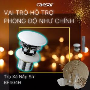 Trụ xả nút nhấn sứ caesar BF404H