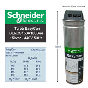 Tụ bù dầu Schneider BLRCS150A180B44 15kVAr 3 Pha 440V