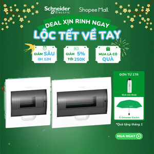 Tủ điện nhựa âm tường Schneider EZ9E108S2F