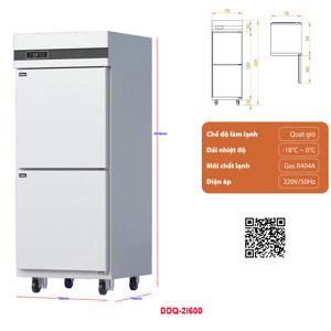 Tủ đông 2 cánh 600 lít DDQ.2I600