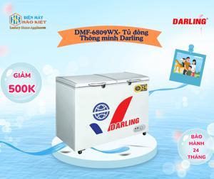 Tủ đông Darling 2 ngăn 400 lít DMF-6809WX