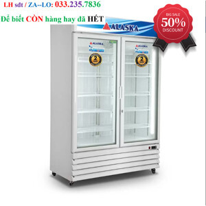 Tủ đông Alaska 2 cánh 100 lít IFC-100G2