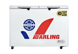 Tủ đông Darling inverter 2 ngăn 250 lít DMF-3197WX