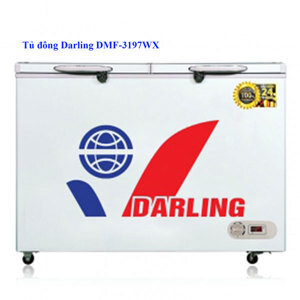 Tủ đông Darling inverter 2 ngăn 250 lít DMF-3197WX