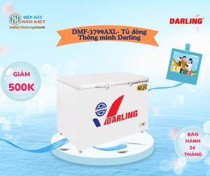 Tủ đông Darling 1 ngăn 370 lít DMF-3799AXL
