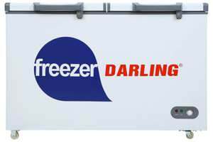 Tủ đông Darling 2 ngăn 260 lít DMF-3999 W2