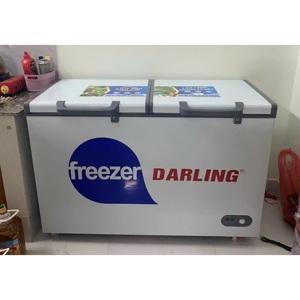 Tủ đông Darling 2 ngăn 260 lít DMF-3999 W2