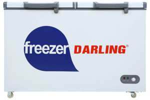 Tủ đông Darling 2 ngăn 260 lít DMF-3999 W2