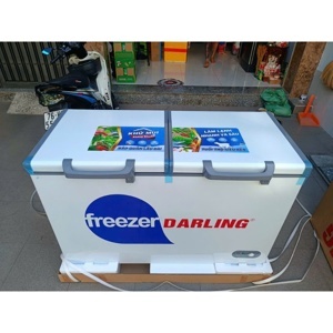 Tủ đông Darling 2 ngăn 260 lít DMF-3999 W2