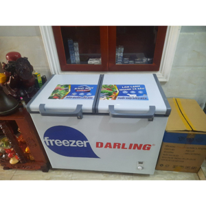 Tủ đông Darling Inverter 2 ngăn 230 lít DMF-2999WE