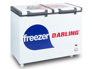 Tủ đông Darling Inverter 2 ngăn 230 lít DMF-2999WE