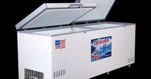 Tủ đông Denver 1 ngăn 1200 lít AS1700D