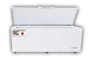 Tủ đông Fujigold 1 ngăn 759 lít FGF S759MBK