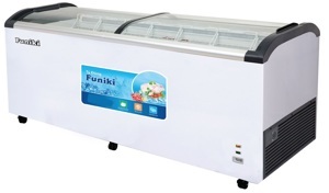 Tủ đông Funiki - Hòa Phát 1 ngăn 738 lít HCF-680S1PĐG