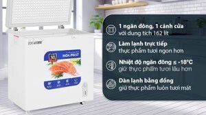 Tủ đông Hòa Phát 1 ngăn 162 lít HPF AD6162