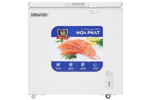Tủ đông Hòa Phát 1 ngăn 162 lít HPF AD6162