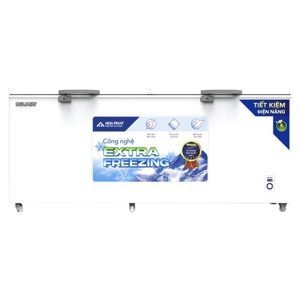 Tủ đông Hòa Phát 2 cánh 783 lít AD6783.1