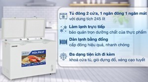 Tủ đông Hòa Phát 2 ngăn 245 lít HPF BD6245