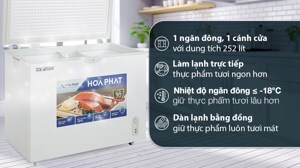 Tủ đông Hòa Phát 1 ngăn 252 lít HPF AD6252