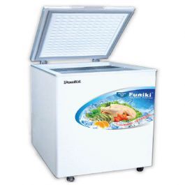 Tủ đông Funiki - Hòa Phát 1 ngăn 252 lít HCF-500S1PĐ