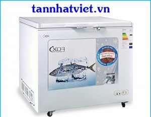 Tủ đông Ixor 1 ngăn 318 lít IXR-318FLG