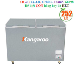 Tủ đông Kangaroo 1 ngăn 252 lít KGFZ318NG2