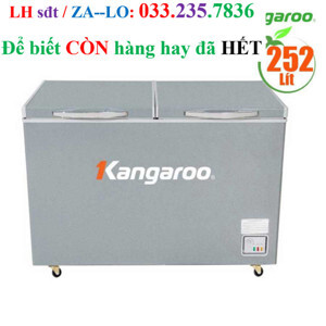 Tủ đông Kangaroo 1 ngăn 252 lít KGFZ318NG2