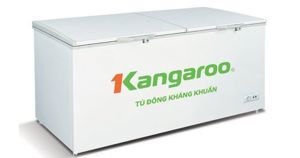 Tủ đông Kangaroo 1 ngăn 1000 lít KG1009C1