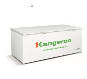 Tủ đông Kangaroo 1 ngăn 720 lít KG720C1