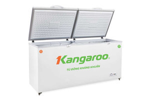 Tủ đông Kangaroo 2 ngăn 238 lít KG388A2