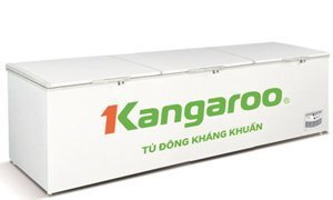 Tủ đông Kangaroo 1 ngăn 1400 lít KG1400A1