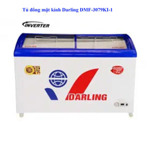 Tủ đông Darling Inverter 1 ngăn 300 lít DMF-3079KI-1