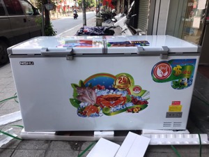 Tủ đông Nishu NTD-588S