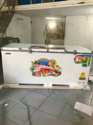 Tủ đông Nishu 1 ngăn 700 lít NTD-788S