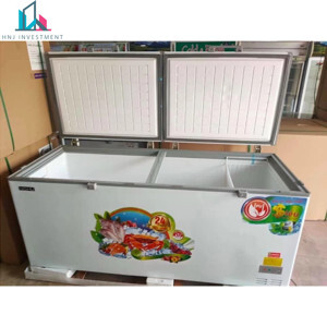 Tủ đông Nishu 1 ngăn 900 lít NTD-988S- new