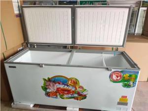 Tủ đông Nishu 1 ngăn 900 lít NTD-988S- new