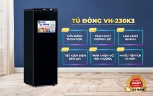 Tủ đông Sanaky Inverter 7 ngăn 2130 lít VH-230K3