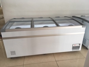 Tủ đông Sanaky 1430 lít SD1430BYQA