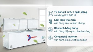 Tủ đông Sanaky inverter 1 ngăn 1100 lít VH-1199HY3