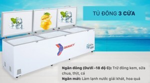 Tủ đông Sanaky 1  ngăn 1300 lít VH-1399HY3