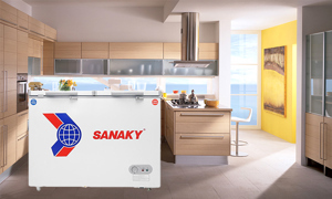 Tủ đông Sanaky 2 ngăn 400 lít VH4099W1N