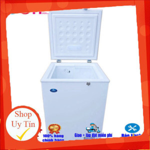 Tủ đông Sanden 1 ngăn 100 lít SNH-0105