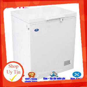 Tủ đông Sanden 1 ngăn 100 lít SNH-0105